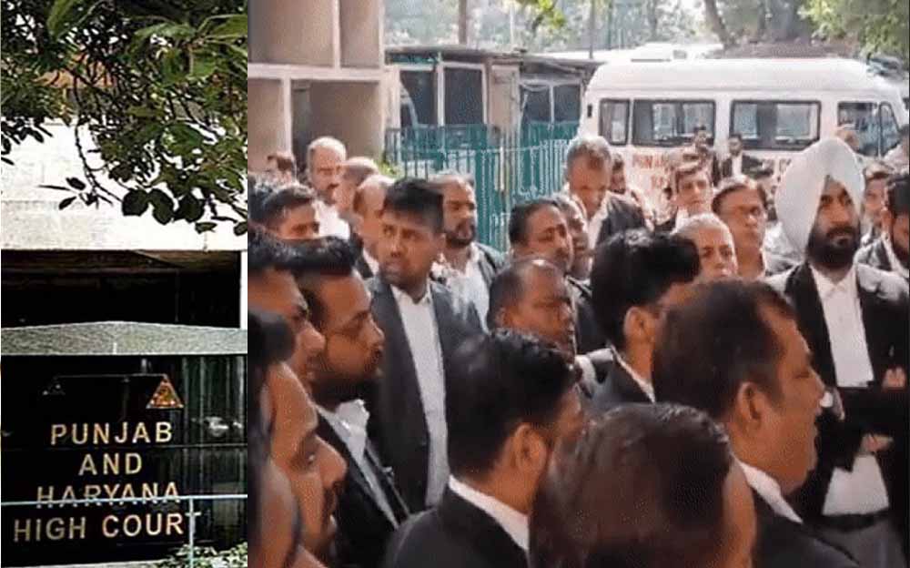 ‘दबाव बनाकर न्याय व्यवस्था को झुकाया नहीं जा सकता’, पंजाब में वकीलों की हड़ताल पर हाई कोर्ट की सख्त टिप्पणी