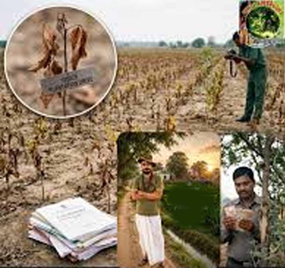 हरियाणा के बागवानी विभाग में 100 करोड़ के घोटाले पर 13 साल बाद FIR, खेतों में नहीं मिला एक भी पौधा