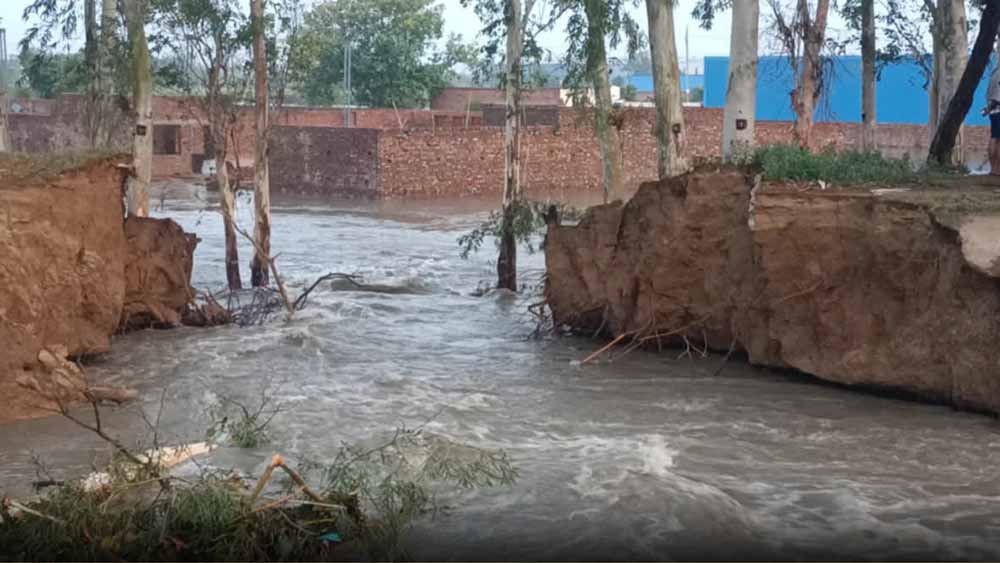 हरियाणा में भारी बारिश का कहर, कई जगह मकान ढहे, तटबंध टूटने से बाढ़ का खतरा बढ़ा