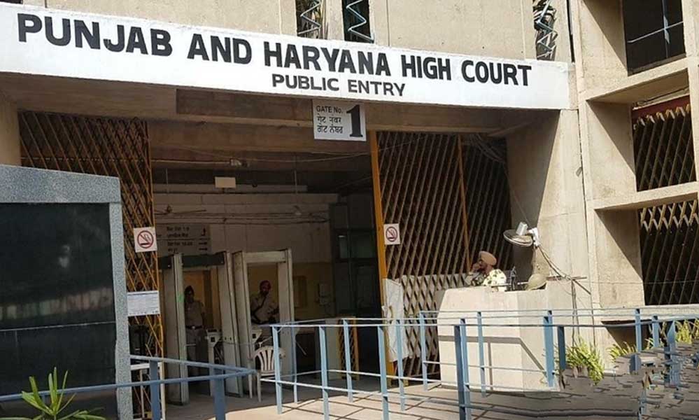 पंजाब की जेलों में नशे का जाल, 44% कैदी नशे के आदी; हाईकोर्ट ने लिया सख्त रुख