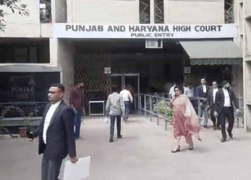 हरियाणा हाईकोर्ट का बड़ा फैसला, PGT शिक्षकों के ट्रांसफर में नोशनल सेवा के अंक मान्य