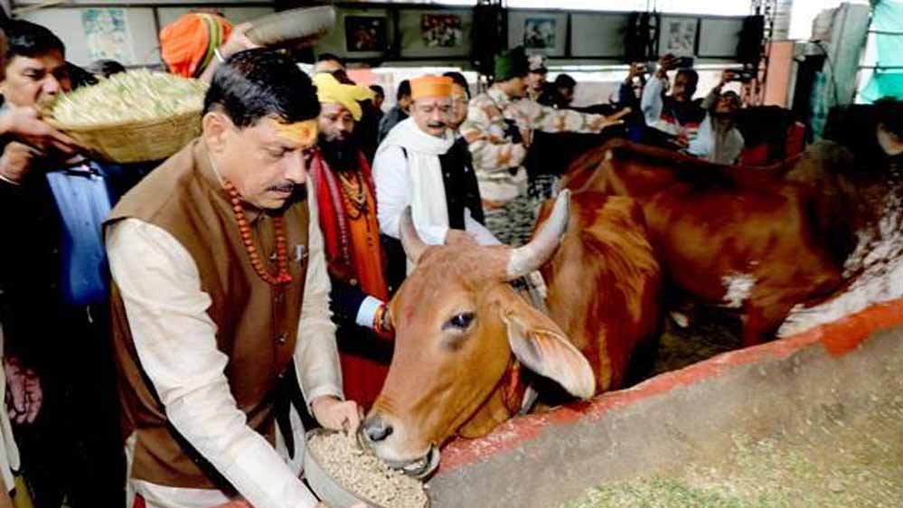 भोपाल में आदर्श गौ शाला स्थापित करने के कार्य को शीघ्र पूर्ण करें: मुख्यमंत्री डॉ. यादव